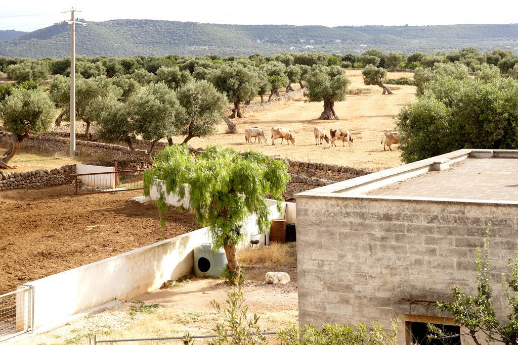 Masseria Curatori Monopoli Exteriér fotografie