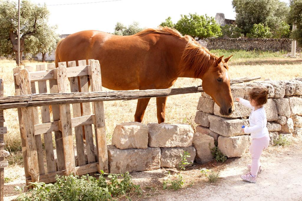 Masseria Curatori Monopoli Exteriér fotografie